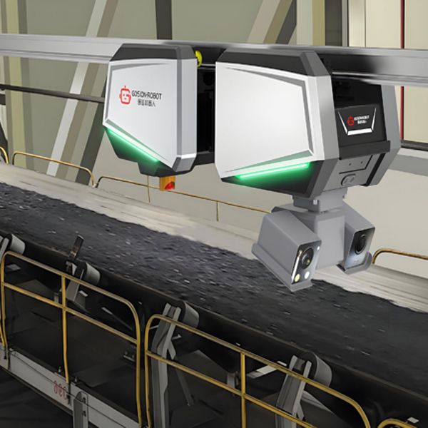 Inspection rail
